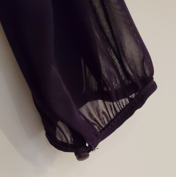 Sheer Lantern Sleeve Dress - Picture 7 of 12